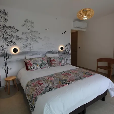 Vila D Exception Piscine Privee 300m2 16 Pers Duo Les Terrasses De Ruppione Pietrosella